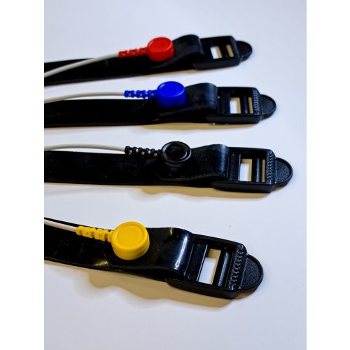 Harness set (Scio)