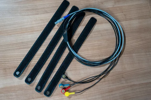 New Limb Harness (Scio)