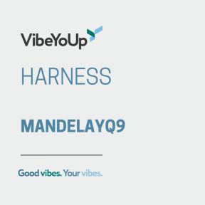 Harnesses (Mandelay Q9 ,Eductor) - CLICK HERE